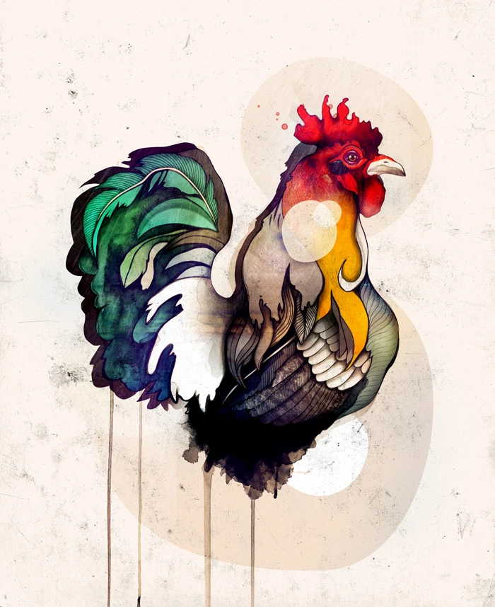Rooster - Sara Blake Rooster - Sara Blake