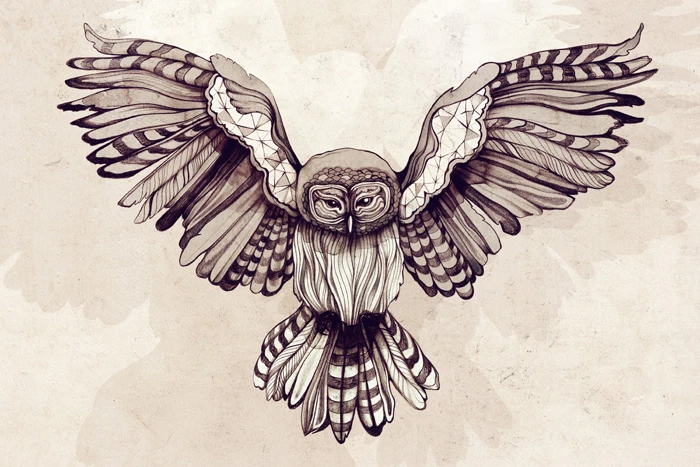 Owl - Sara Blake Owl - Sara Blake