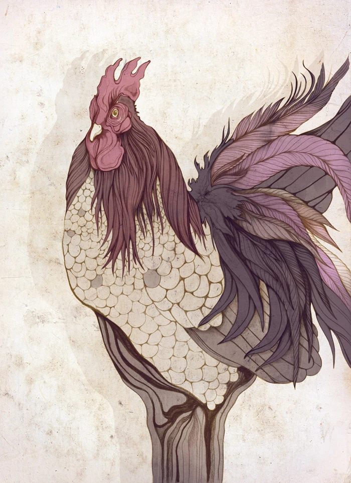 Rooster Series - Sara Blake Rooster Series - Sara Blake